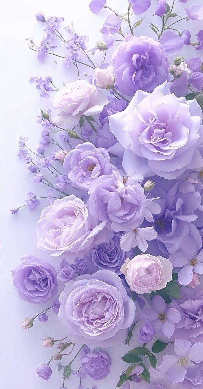 Secret Garden's Whimsical Bloom Array
