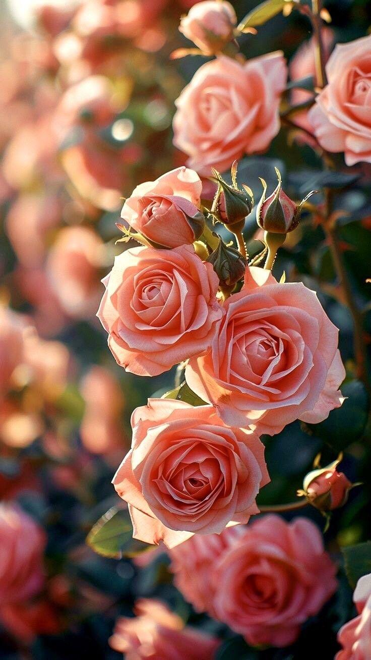 Heaven's Aroma in Earthly Blooms